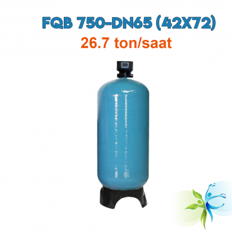 Watergold FQB 750-DN65 (42X72) Model Kum Demir Filtrasyon Sistemi